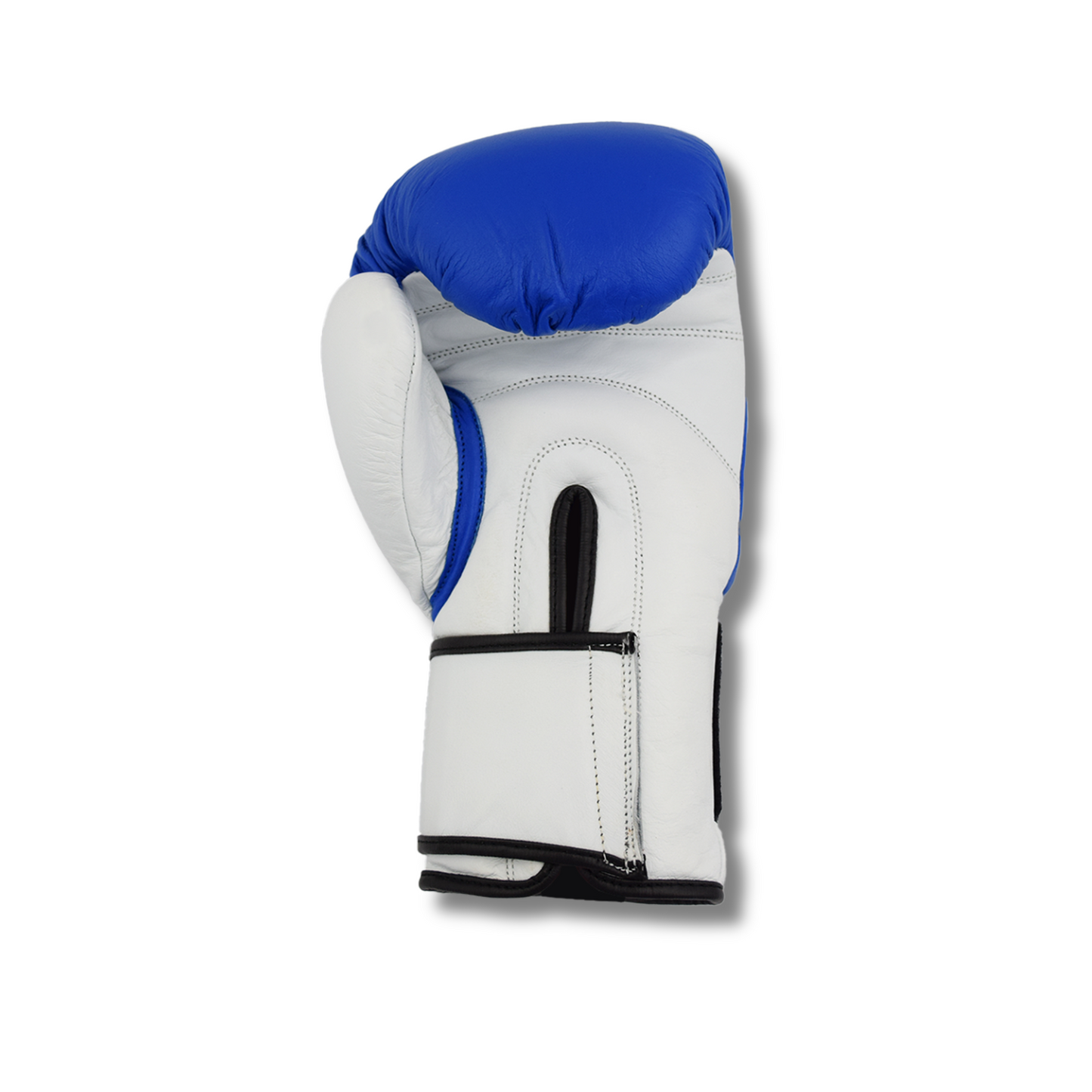 Boxing Gloves - Blue & White
